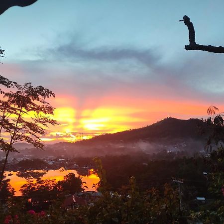 Purple Homestay Hillside كورون المظهر الخارجي الصورة