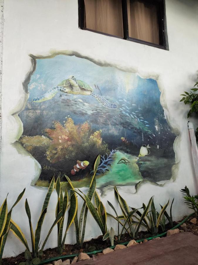 Purple Homestay Hillside كورون المظهر الخارجي الصورة
