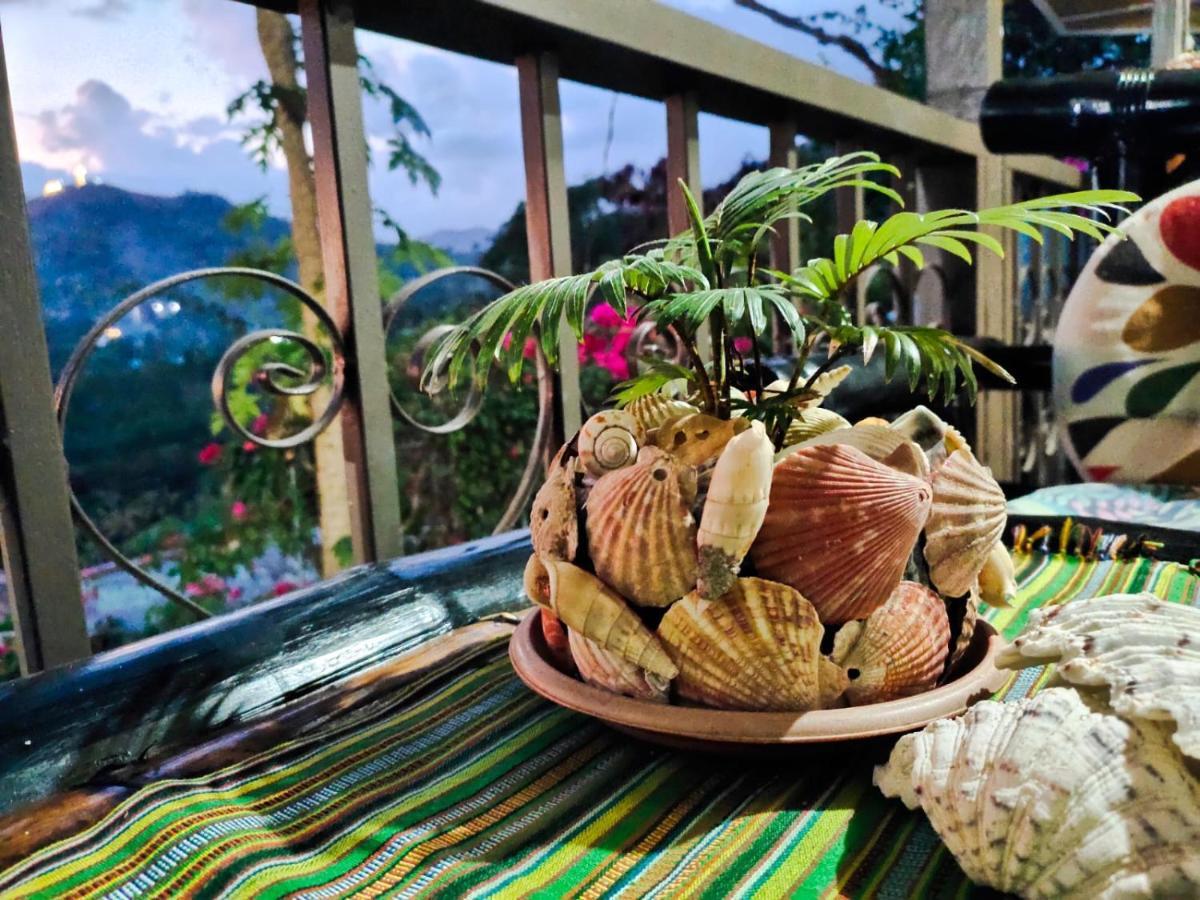 Purple Homestay Hillside كورون المظهر الخارجي الصورة