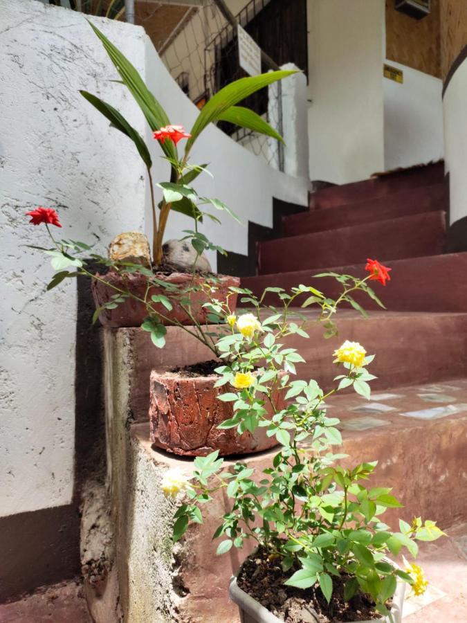 Purple Homestay Hillside كورون المظهر الخارجي الصورة