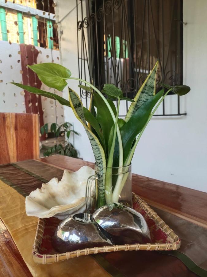 Purple Homestay Hillside كورون المظهر الخارجي الصورة