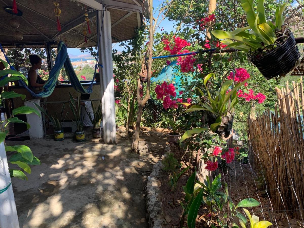 Purple Homestay Hillside كورون المظهر الخارجي الصورة